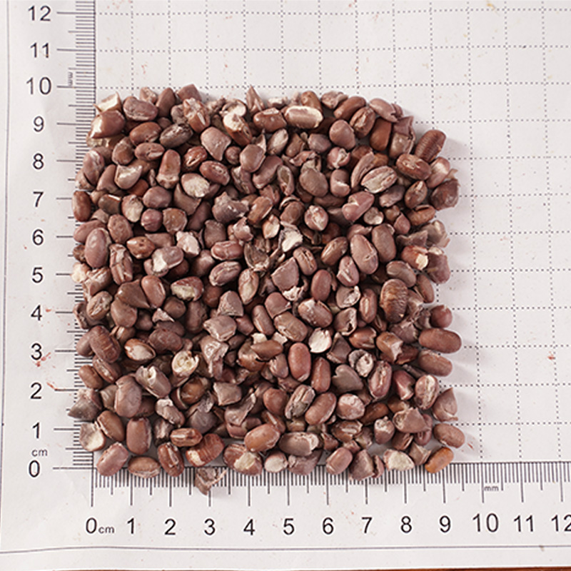 Gevriesdroogde ormosia Gevriesdroogde ormosia